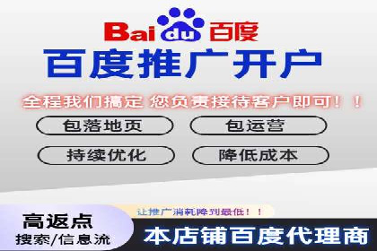解析某某SEM服务公司的广告投放策略与效果评估